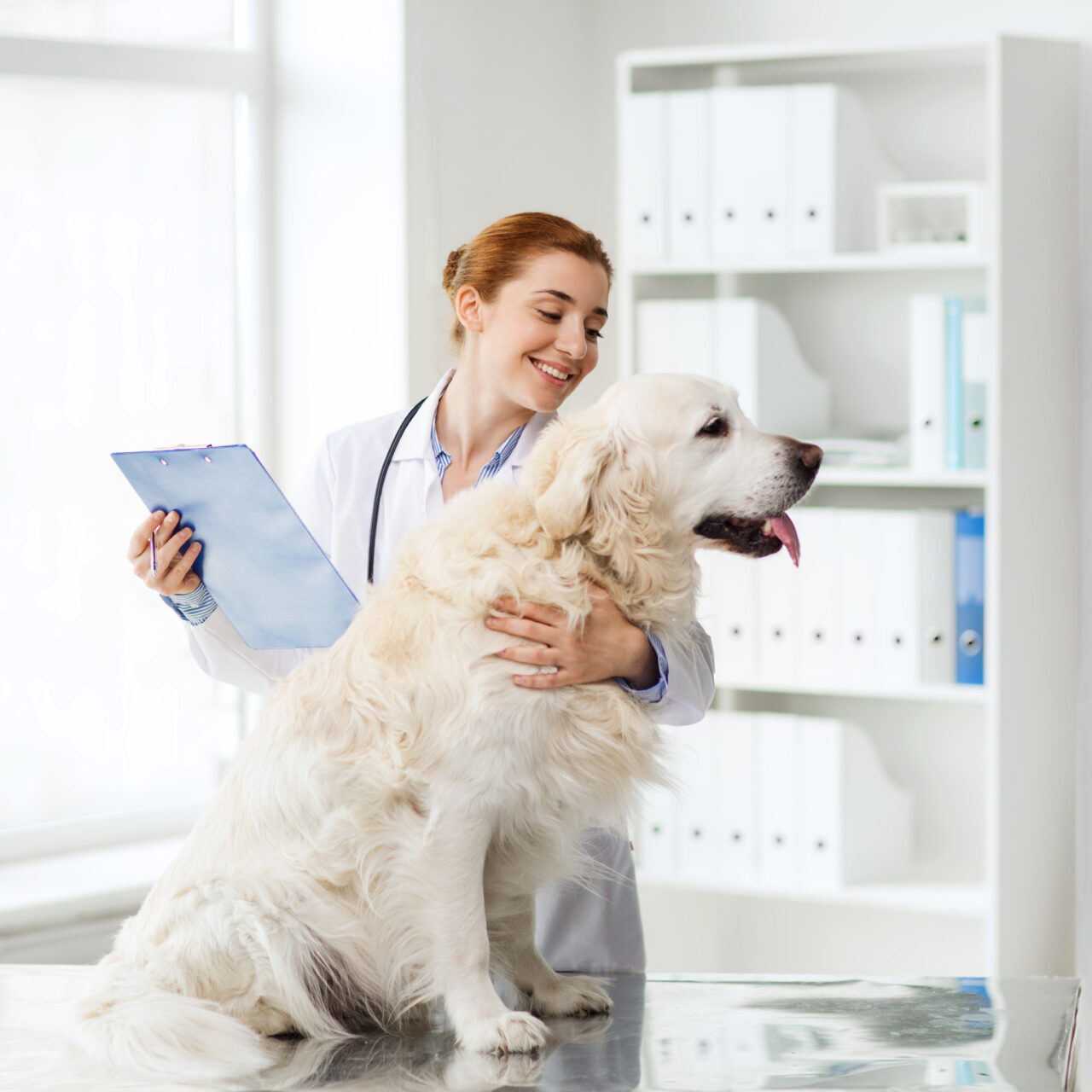 medicine, pet, animals, health care and people concept - happy veterinarian or doctor with golden retriever dog and clipboard at vet clinic