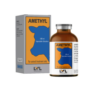 http://lvl.com.lb/wp-content/uploads/2025/07/Amethyl-300x300.jpg