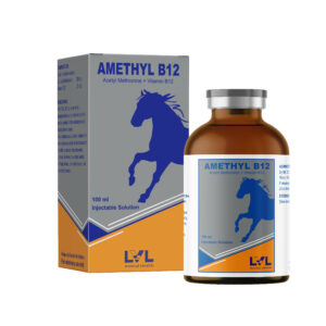 http://lvl.com.lb/wp-content/uploads/2025/07/Amethyl-B12-300x300.jpg
