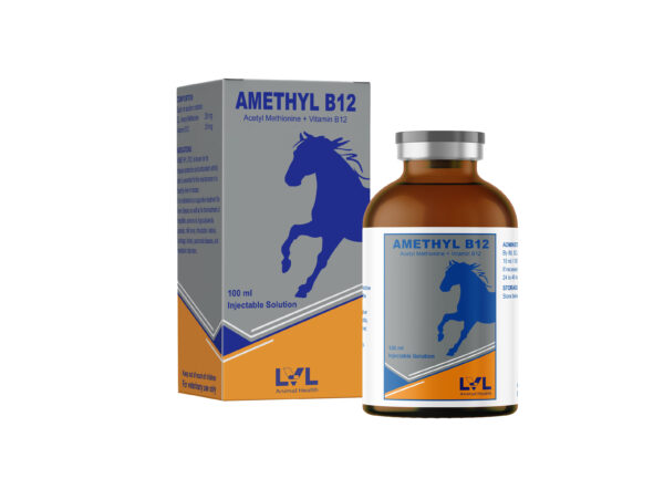 AMETHYL B12