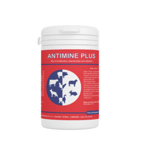 http://lvl.com.lb/wp-content/uploads/2025/07/Antimine-Plus-300x300.jpg