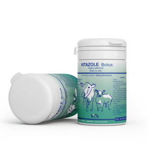 http://lvl.com.lb/wp-content/uploads/2025/07/Bolus-Jar-Vitazole-300x300.jpg