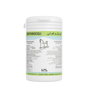 http://lvl.com.lb/wp-content/uploads/2025/07/Erythrocoli-300x300.jpg