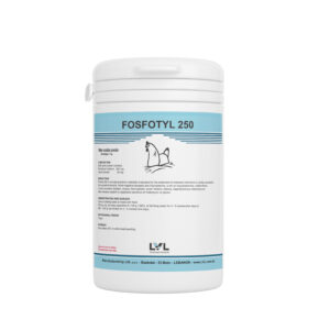 http://lvl.com.lb/wp-content/uploads/2025/07/Fosfotyl-250-300x300.jpg