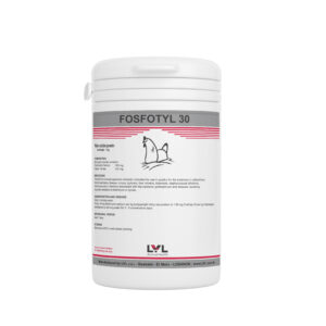 http://lvl.com.lb/wp-content/uploads/2025/07/Fosfotyl-30-300x300.jpg