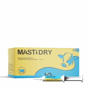 http://lvl.com.lb/wp-content/uploads/2025/07/Mastidry-2-300x300.png