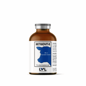 http://lvl.com.lb/wp-content/uploads/2025/07/Methiovit-B-Bottle-3-300x300.png