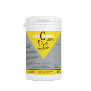 http://lvl.com.lb/wp-content/uploads/2025/07/Vitamin-C-25-300x300.jpg