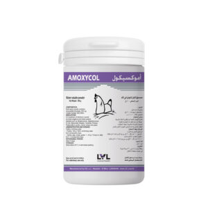 https://lvl.com.lb/wp-content/uploads/2025/07/260512-AMOXYCOL-MOCKUP_03-300x300.jpg