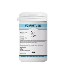 https://lvl.com.lb/wp-content/uploads/2025/07/260519-FOSFOTYL250-MOCKUP-300x300.jpg