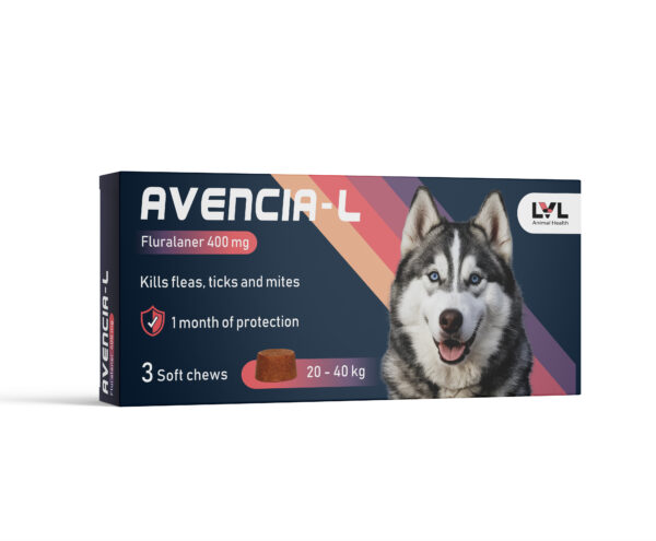 AVENCIA - L