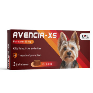 https://lvl.com.lb/wp-content/uploads/2025/08/Avencia-XS-300x300.jpg