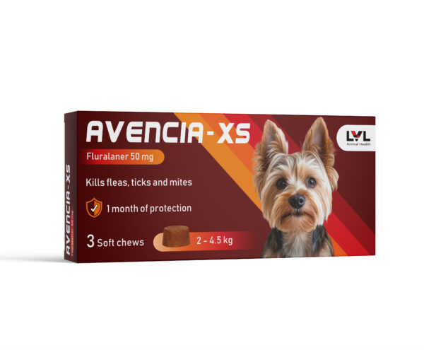 AVENCIA - XS