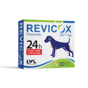 https://lvl.com.lb/wp-content/uploads/2025/08/Revicox-227mg-300x300.jpg