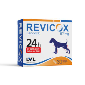 https://lvl.com.lb/wp-content/uploads/2025/08/Revicox-57mg-300x300.jpg