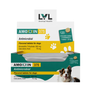 https://lvl.com.lb/wp-content/uploads/2025/09/Amoxxin-1-300x300.jpg