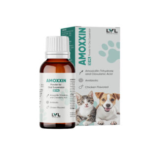 https://lvl.com.lb/wp-content/uploads/2025/09/Amoxxin-300x300.jpg