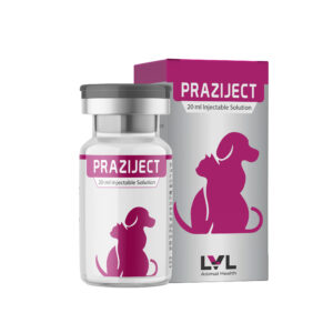 https://lvl.com.lb/wp-content/uploads/2025/09/Praziject-300x300.jpg