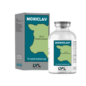 https://lvl.com.lb/wp-content/uploads/2026/08/Moxiclav-300x300.png