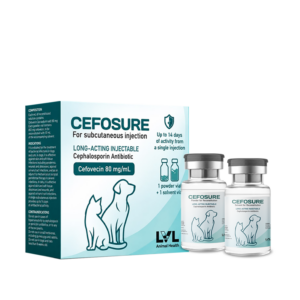 https://lvl.com.lb/wp-content/uploads/2026/10/CEFOSURE-300x300.png